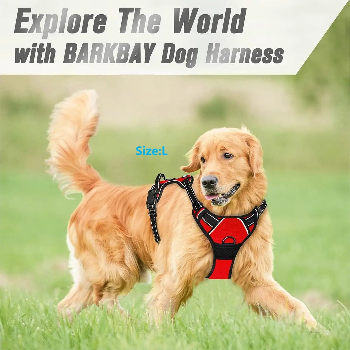 Adjustable No-Pull Dog Harness