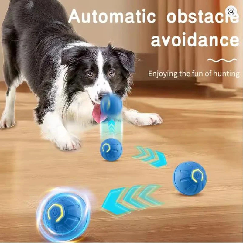 USB Rechargeable Bouncing Pet Ball