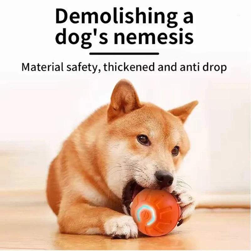 USB Rechargeable Bouncing Pet Ball