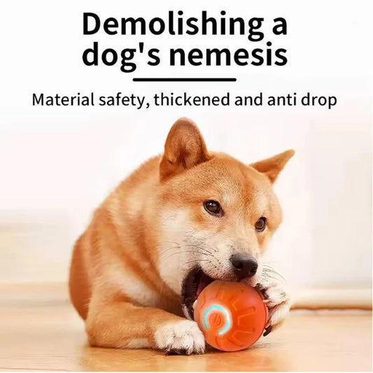 USB Rechargeable Bouncing Pet Ball