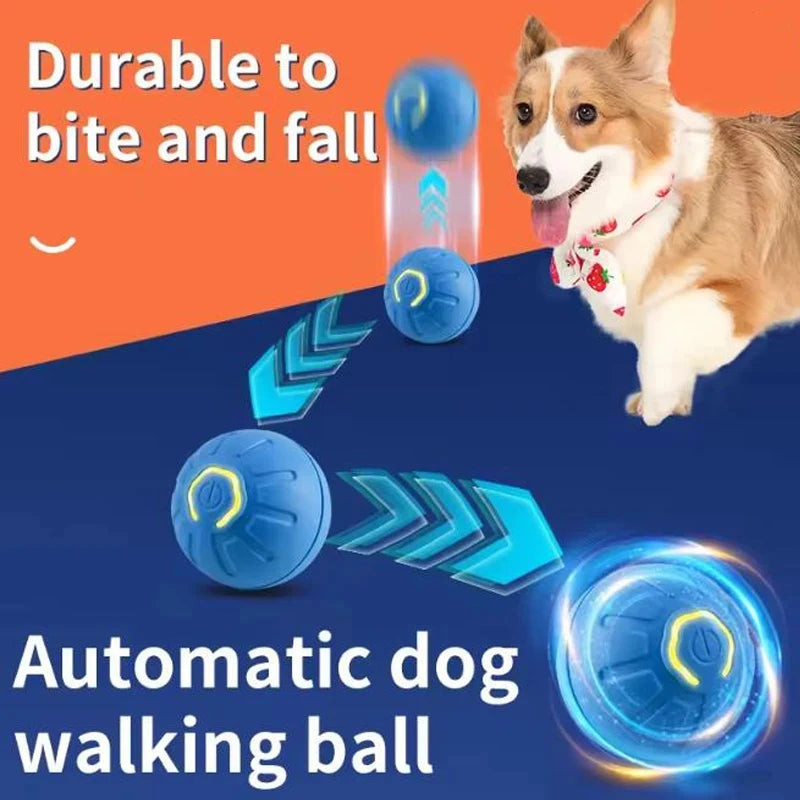 USB Rechargeable Bouncing Pet Ball