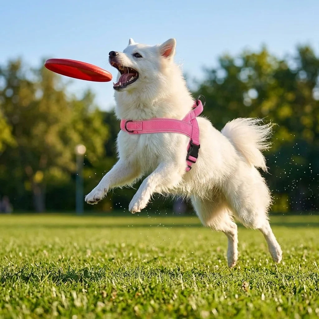 Tactical No-Pull Dog Harness