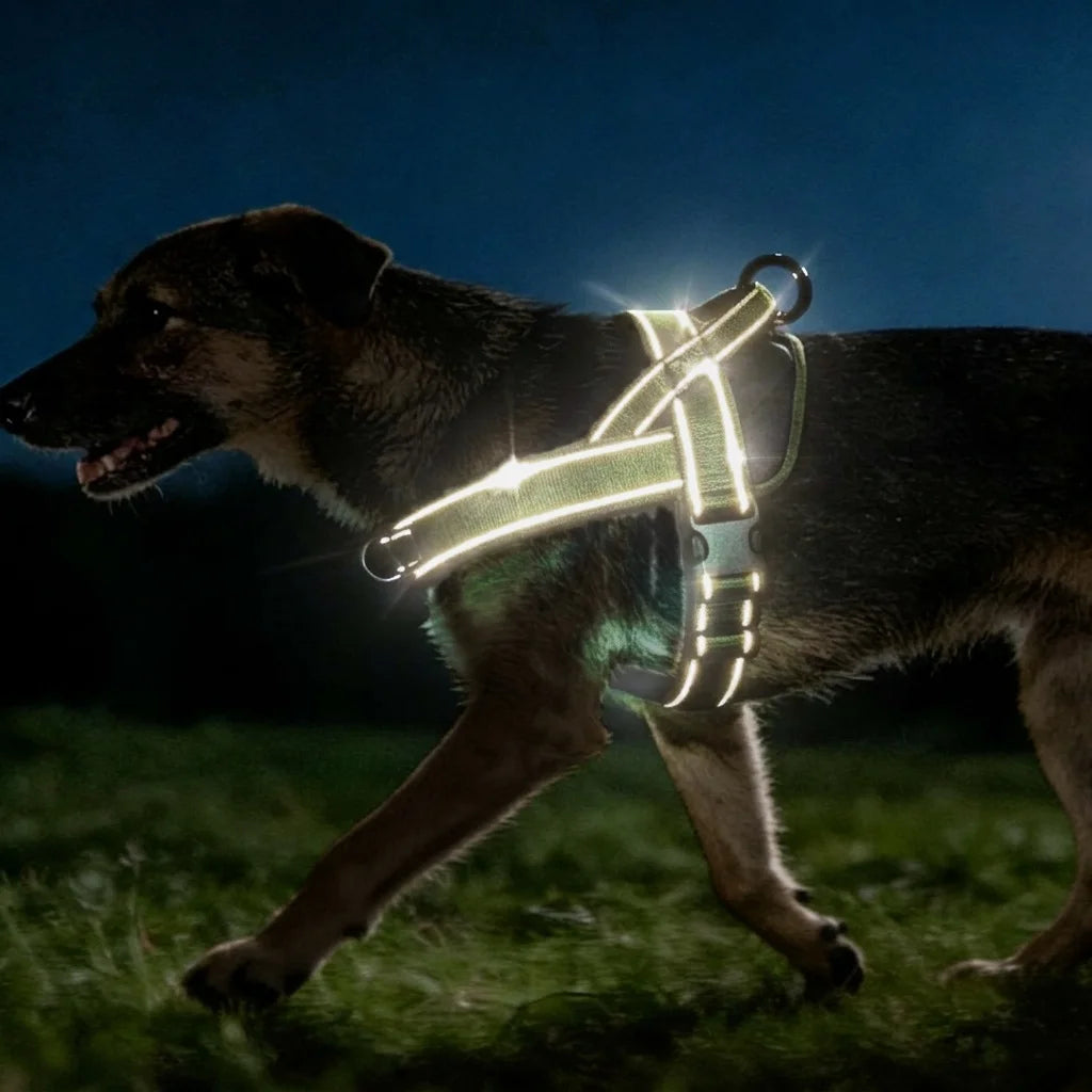 Tactical No-Pull Dog Harness