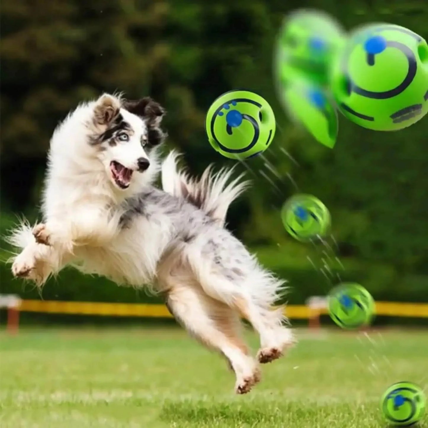 IQ Giggle Dog Toy Ball