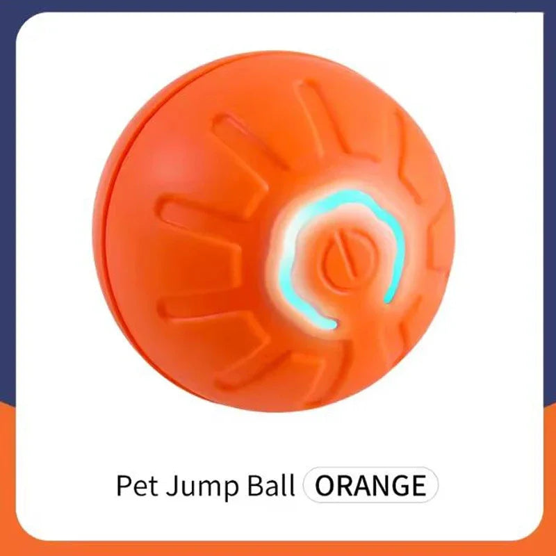 USB Rechargeable Bouncing Pet Ball