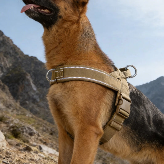 Tactical No-Pull Dog Harness