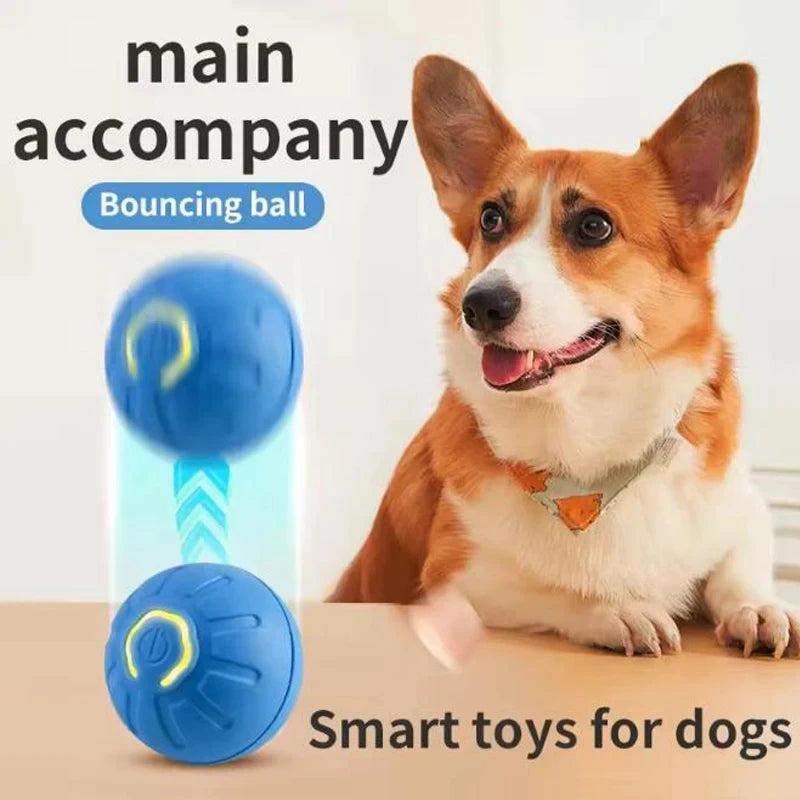USB Rechargeable Bouncing Pet Ball