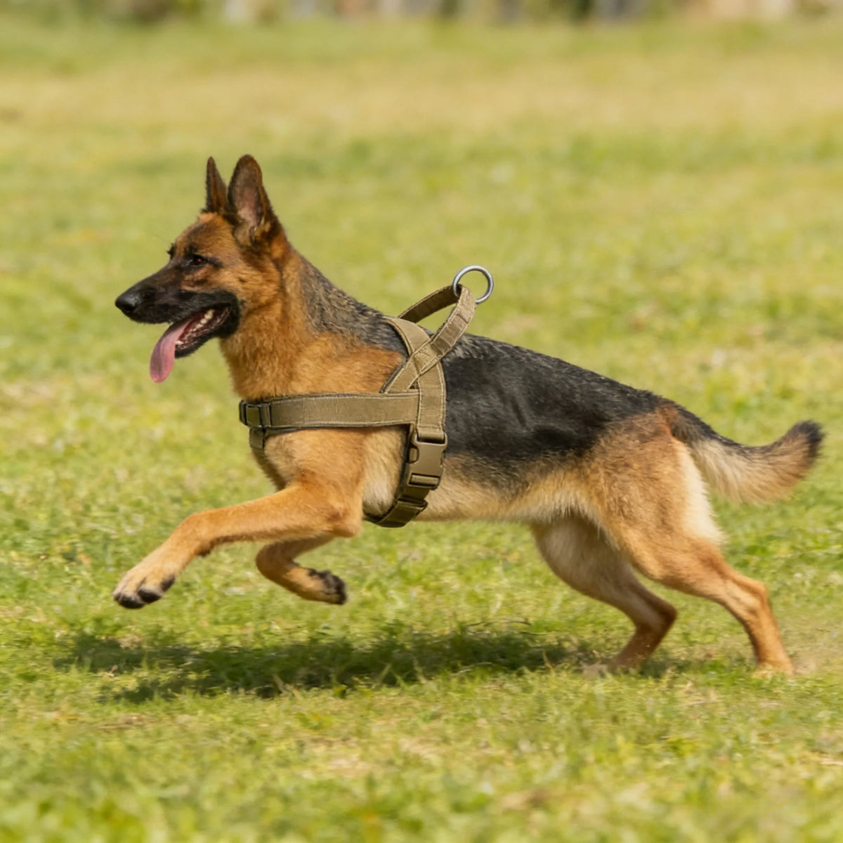 Tactical No-Pull Dog Harness